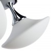 Потолочная люстра ARTE LAMP AQUA-SFERA A2550PL-3CC
