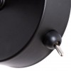ARTE LAMP FUORI A9184AP-1BK