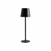 ARTE LAMP FUYUE A1614LT-1BK