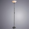ARTE LAMP DUETTO A9569PN-1SI