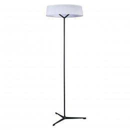 Divinare ALMA 1029/06 PN-11