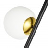 ARTE LAMP ALCOR A2224PN-2BK