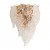 ARTE LAMP LILLY A4070AP-2GO ARTE LAMP LILLY A4070AP-2GO
