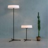 Divinare ALMA 1029/06 PN-11