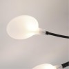 Потолочная люстра ARTE LAMP GUIMET A7423PL-20BK