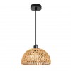ARTE LAMP BRUSHWOOD A7086SP-1BK