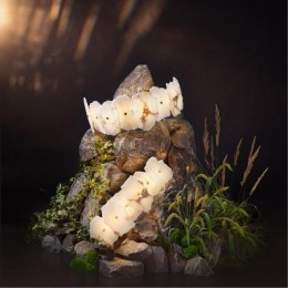 Divinare ELEANOR 1713/17 AP-12