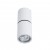 Divinare GAVROCHE POSTO 1800/03 PL-1 Divinare GAVROCHE POSTO 1800/03 PL-1