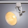 ARTE LAMP MARTIN A5213PL-1WH