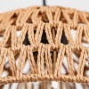 ARTE LAMP BRUSHWOOD A7086SP-1BK