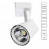 ARTE LAMP AMICO A1810PL-1WH