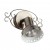 ARTE LAMP FOCUS A5219AP-1AB ARTE LAMP FOCUS A5219AP-1AB