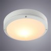 ARTE LAMP CITY A8154PF-2WH