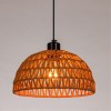 ARTE LAMP BRUSHWOOD A7086SP-1BK