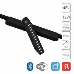 ARTE LAMP RAPID A2961PL-1BK