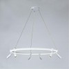 Подвесная люстра ARTE LAMP RING A2186SP-1WH