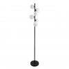ARTE LAMP GEMINI A2243PN-6BK