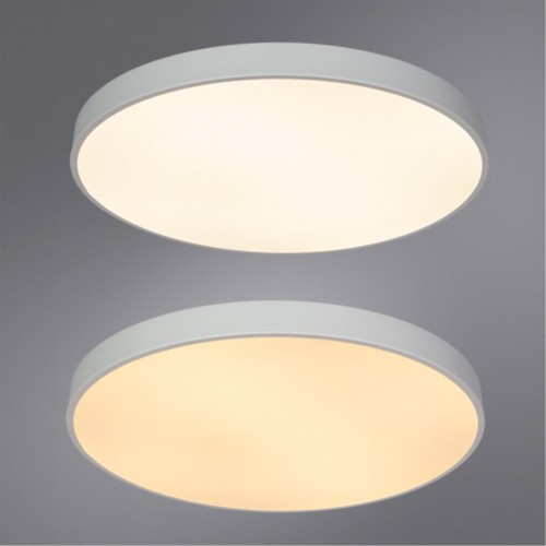ARTE LAMP ARENA A2671PL-1WH