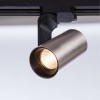 ARTE LAMP BUCHO A2668PL-1SS