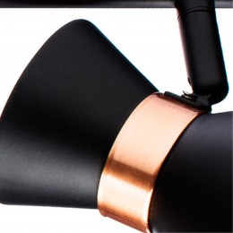 ARTE LAMP BALTIMORE A1406PL-3BK