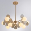 Люстра на штанге ARTE LAMP PEACOCK A1369SP-10GY