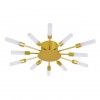 Потолочная люстра ARTE LAMP MAPLE A1276PL-12GO