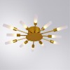 Потолочная люстра ARTE LAMP MAPLE A1276PL-12GO