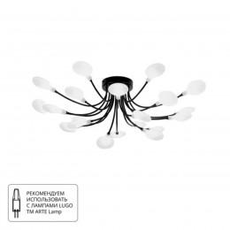 Потолочная люстра ARTE LAMP GUIMET A7423PL-20BK