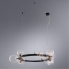 Подвесная люстра ARTE LAMP VINCENT A7790SP-15BK