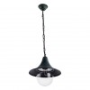ARTE LAMP MALAGA A1085SO-1BG