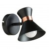 ARTE LAMP BALTIMORE A1406AP-1BK