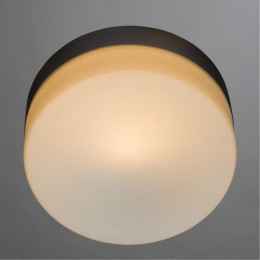 ARTE LAMP AQUA-TABLET A3211PL-1SI