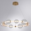 Подвесная люстра ARTE LAMP CROCUS A2780LM-40PB