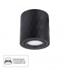 ARTE LAMP FANG A5559PL-1BK
