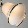 Потолочная люстра ARTE LAMP BLOSSOM A2709PL-5AB