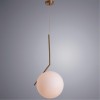 ARTE LAMP BOLLA-UNICA A1921SP-1AB