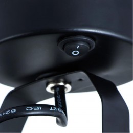 ARTE LAMP LYRA A6252AP-1BK