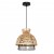 ARTE LAMP WOODSTOCK A7070SP-1BK