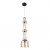 Divinare VOLTURN 1243/17 SP-30 Divinare VOLTURN 1243/17 SP-30