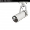 ARTE LAMP NOSTRO A6210PL-1WH
