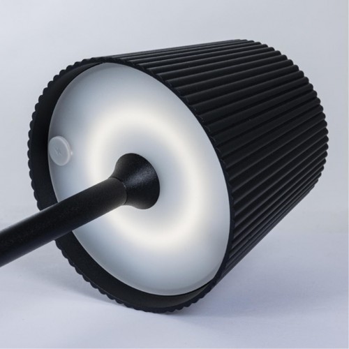 ARTE LAMP FUYUE A1616LT-1BK