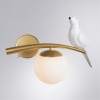 ARTE LAMP ELTANIN A3422AP-1GO