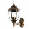 ARTE LAMP PEGASUS A3151AL-1BN