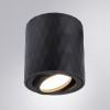 ARTE LAMP FANG A5559PL-1BK