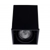 ARTE LAMP CARDANI PICCOLO A5942PL-1BK