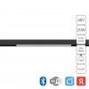 ARTE LAMP LINEA A4693PL-1BK