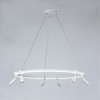 Подвесная люстра ARTE LAMP RING A2186SP-1WH