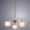 Подвесная люстра ARTE LAMP MARGO A9317LM-3AB