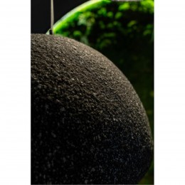 Divinare SCANDY 2245/06 SP-1