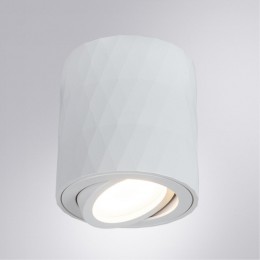 ARTE LAMP FANG A5559PL-1WH